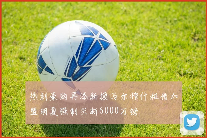 热刺豪购再添新援马尔穆什租借加盟明夏强制买断6000万镑
