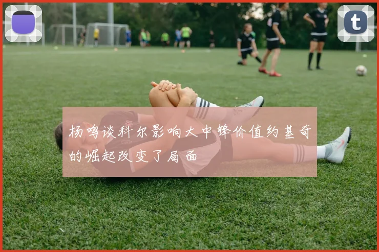 杨鸣谈科尔影响大中锋价值约基奇的崛起改变了局面