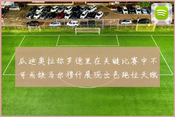 瓜迪奥拉称罗德里在关键比赛中不可或缺马尔穆什展现出色跑位天赋